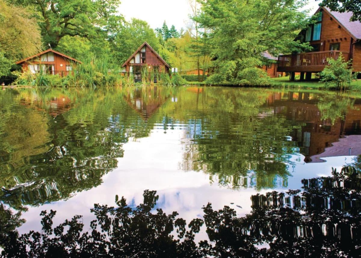 Parkend Whitemead Forest Park酒店 外观 照片