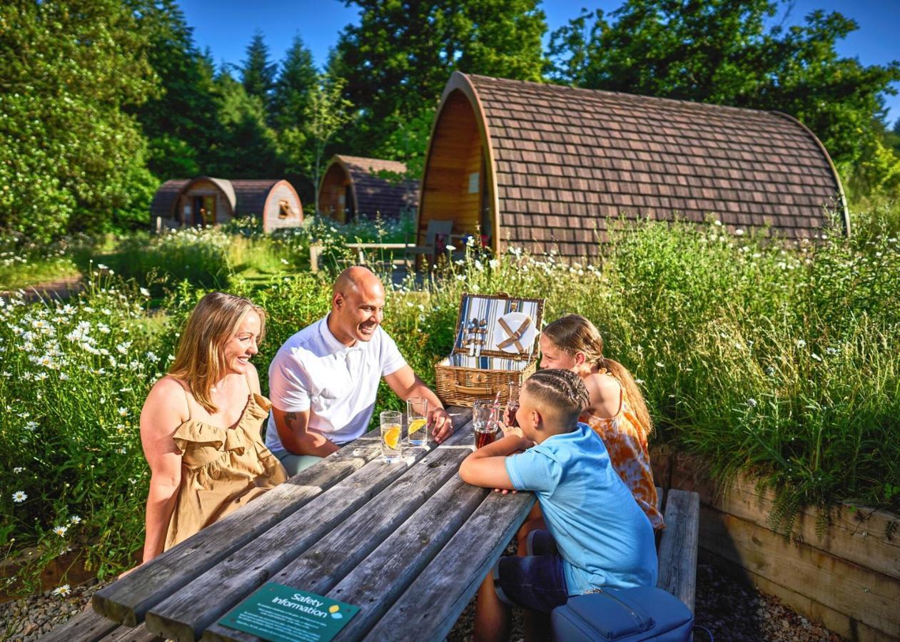 Parkend Whitemead Forest Park酒店 外观 照片